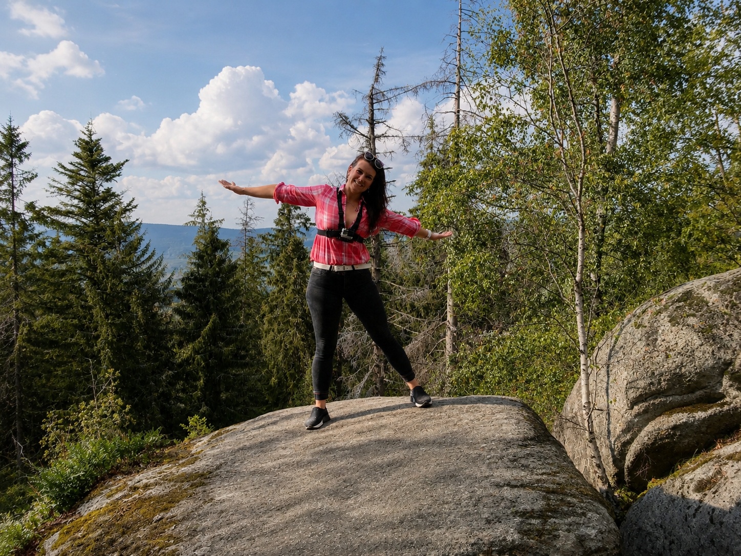 Weg durch den Wald – Coaching in Bewegung